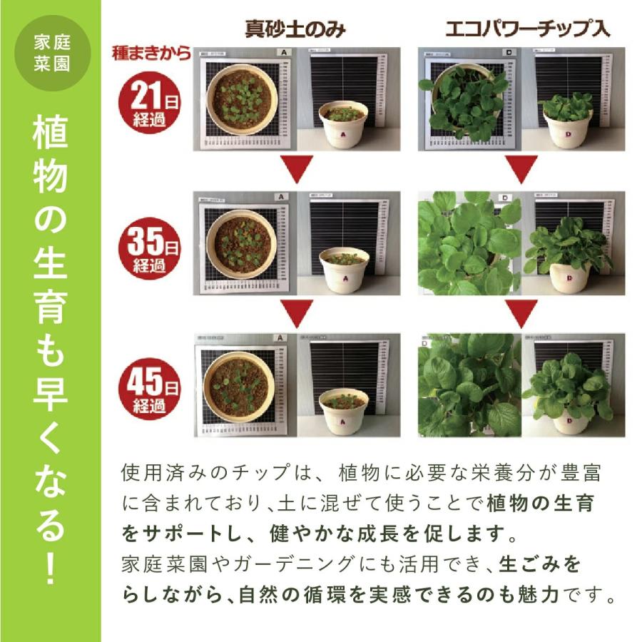 自然 エコクリーン 自然にカエル 基本セット 生ゴミ 生ごみ 処理 家庭