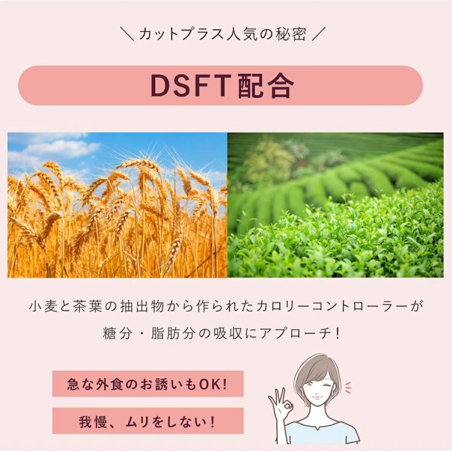 カットプラス 1000 レスベラCX 2.2g×30包 ダイエット サプリメント C