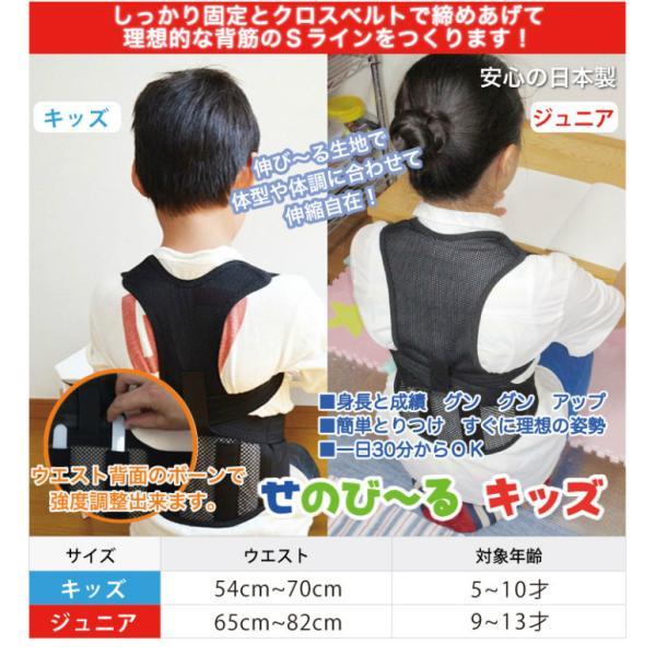 せのび〜るキッズ 9-13歳（2個） Amazon | せのび〜るキッズ(ジュニアサイズ) 子供用 背筋 姿勢