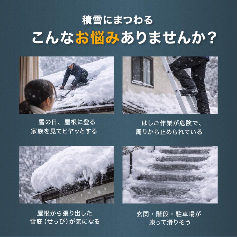 多機能 雪降ろし ＆ 雪庇落とし 凍雪除去用ヘラセット 6m 日本製 角度