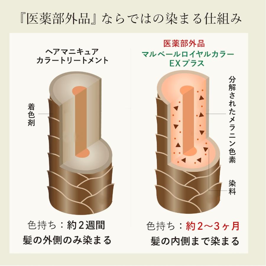 マルベールロイヤルカラー EXプラス 白髪染め 白髪隠し トリートメント