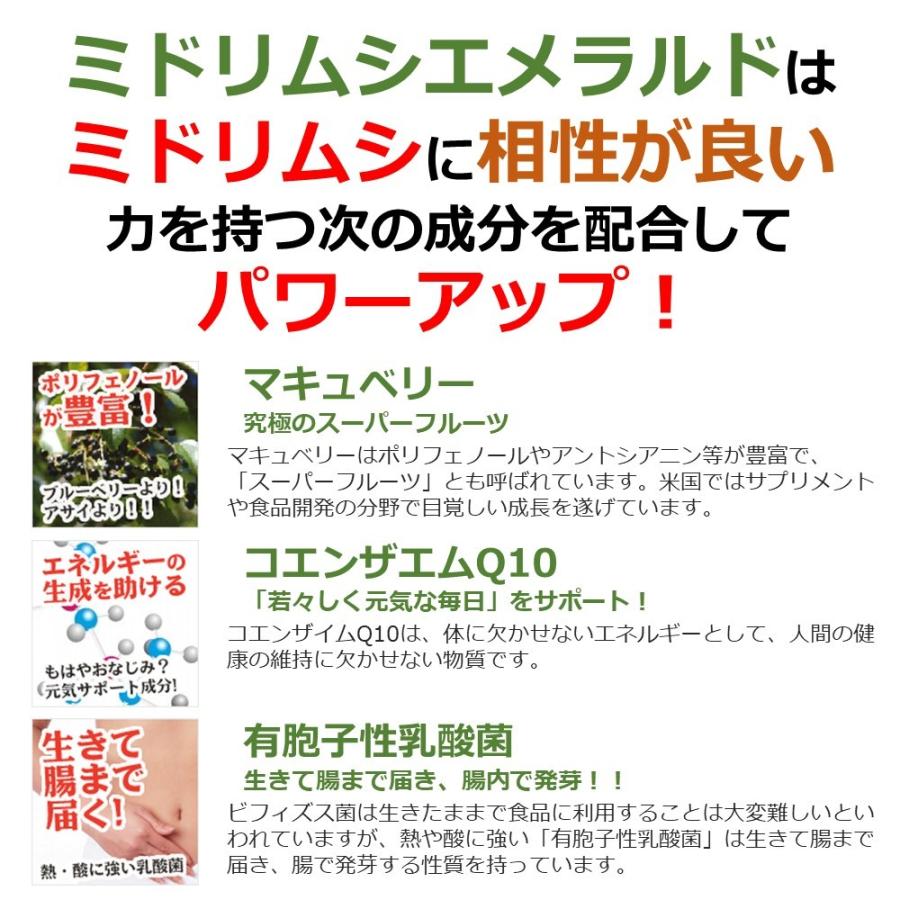 大容量セット レビジューさくら 120包×2セット 計240包-TODAYFUL