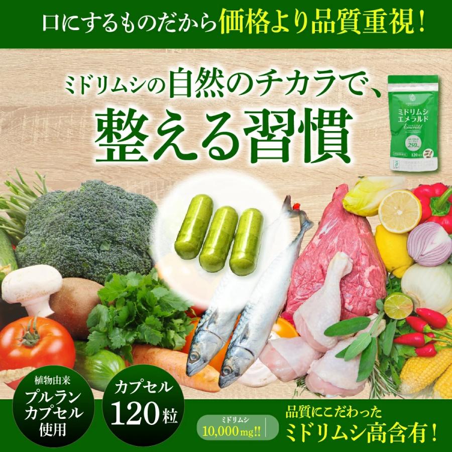 ユーグレナ ミドリムシ ミドリムシエメラルド サプリメント 120粒入