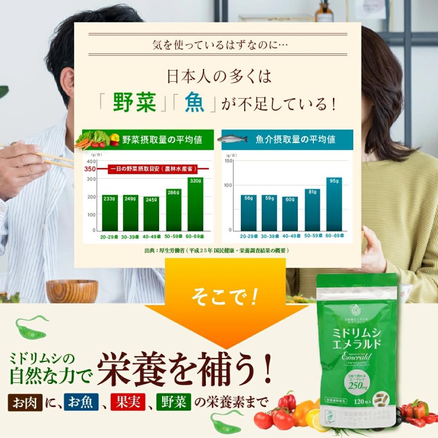 ユーグレナ ミドリムシ ミドリムシエメラルド サプリメント 120粒入