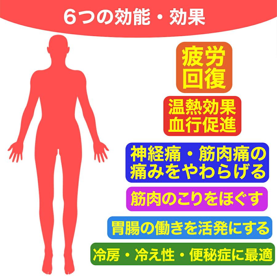 コスモパック 遠赤外線 温熱治療器 CS型 遠赤外線治療器 温熱治療機