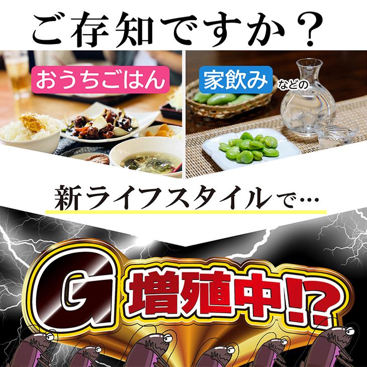 最大70%オフ! ゴキブリ 駆除 業務用 ゴキちゃんグッバイプラス 2個セット 医薬部外品 ごきぶり 対策 退治 ゴキブリ駆除薬 送料無料 最大70%オフ! ゴキブリ 駆除 業務用 ゴキちゃんグッバイプラス 2個セット 医薬部外品 ごきぶり 対策 退治 ゴキブリ駆除薬 送料無料