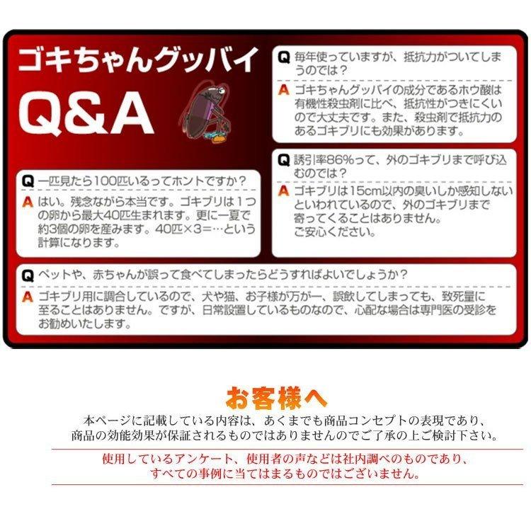 人気ブランド多数対象 ゴキブリ 駆除 業務用 ゴキちゃんグッバイプラス 2個セット 医薬部外品 ゴキブリ駆除薬 ごきぶり 対策 退治 送料無料 Columbiatools Com