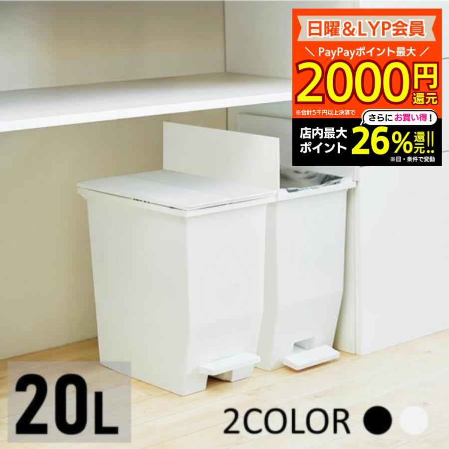 ゴミ箱 おしゃれ 分別 20l スリム ごみ箱 ダストボックス 蓋付きゴミ箱