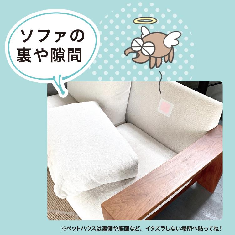 ダニ捕りシート 1箱5枚入 ダニ ダニシート ダニ取りシート 駆除 ダニ