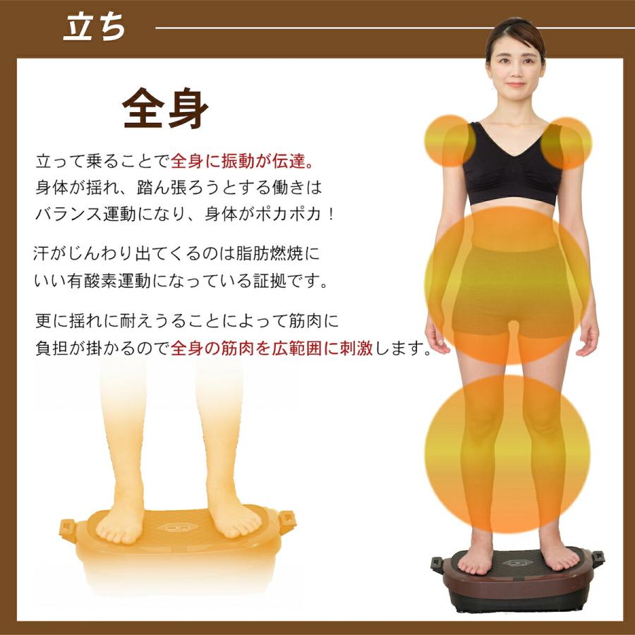 LIFEFIT ライフフィット 2wayトレーナースマート 2WAY Fit016