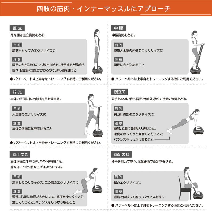 LIFE FIT エクササイズ器具 ゴールド ※ 取扱説明書及び箱付き特価開催❗️ TEIJIN（テイジン） LIFEFIT おまけ付 ライフフィット 2wayトレーナー