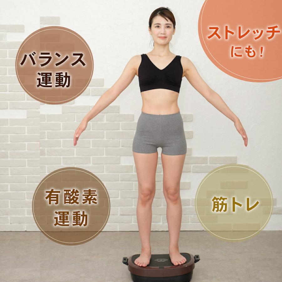 美品　ライフフィット 2wayトレーナースマート　Fit016 正規品】ブルブル振動マシン ライフフィット 2Wayトレーナー