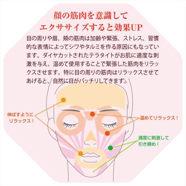 テラローラーai2 テラローラー アイ2 ポイントケアローラー コロコロ 美容 小顔 引き締め リフトアップ リフレッシュ シワ ほうれい線 ギフト 爆買 母の日の画像