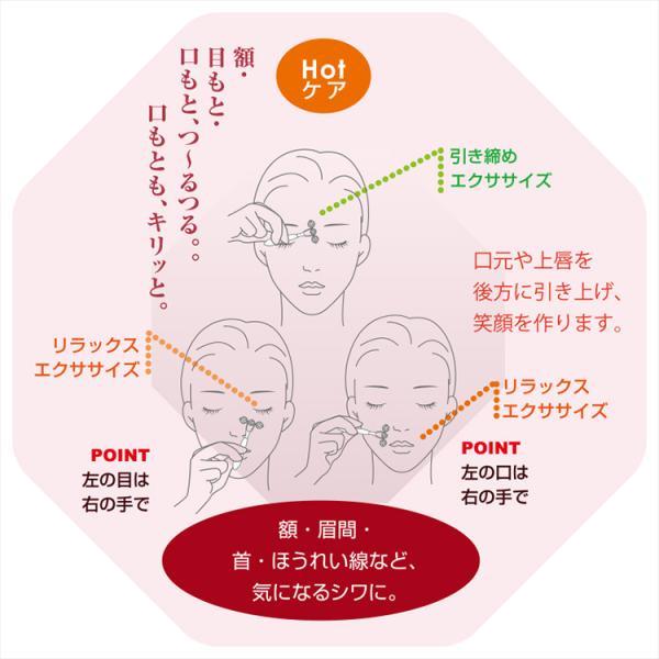 テラローラーai2 テラローラー アイ2 ポイントケアローラー コロコロ 美容 小顔 引き締め リフトアップ リフレッシュ シワ ほうれい線 ギフト 爆買 母の日の画像