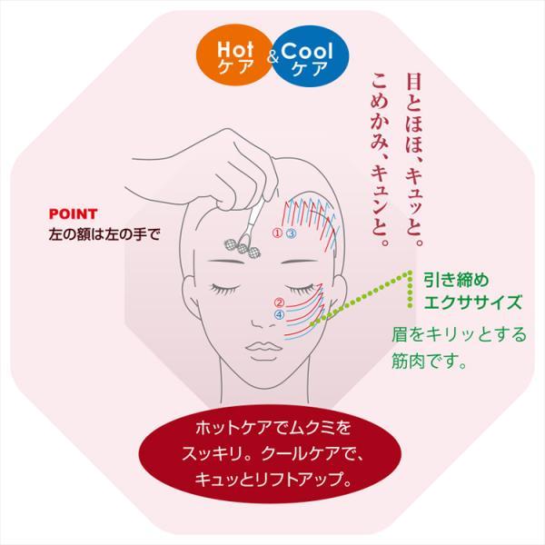 テラローラーai2 テラローラー アイ2 ポイントケアローラー コロコロ