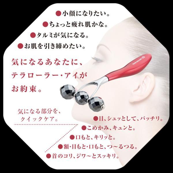 テラローラーai2 テラローラー アイ2 ポイントケアローラー コロコロ