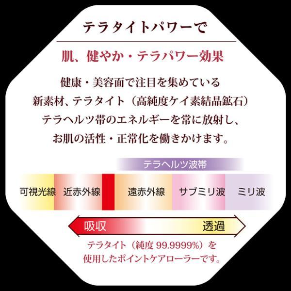 テラローラーai2 テラローラー アイ2 ポイントケアローラー コロコロ 美容 小顔 引き締め リフトアップ リフレッシュ シワ ほうれい線 ギフト 爆買 母の日の画像