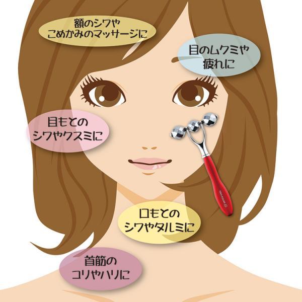 テラローラーai2 テラローラー アイ2 ポイントケアローラー コロコロ