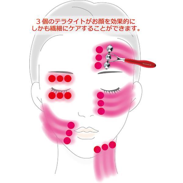 テラローラーai2 テラローラー アイ2 ポイントケアローラー コロコロ