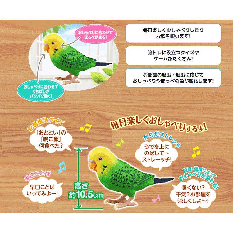 毎日おしゃべり 天才インコちゃん タカラトミー ヒーリングパートナー ペット 電動 ロボット 癒し 童謡 脳トレ ものまね 父の日 母の日 敬老の日 ギフト｜atcare｜03