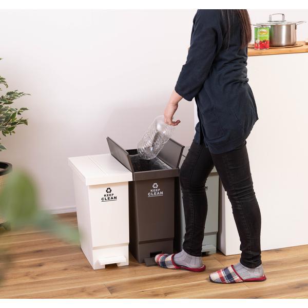 東谷 ゴミ箱 おしゃれ 32L 分別 スリム ごみ箱 ダストボックス 蓋付き