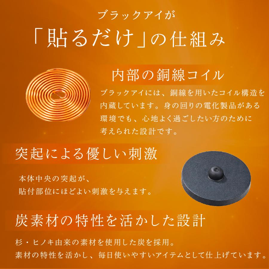 unica（ユニカ） 丸山式コイル ブラックアイ 100個入 貼替シール30枚入