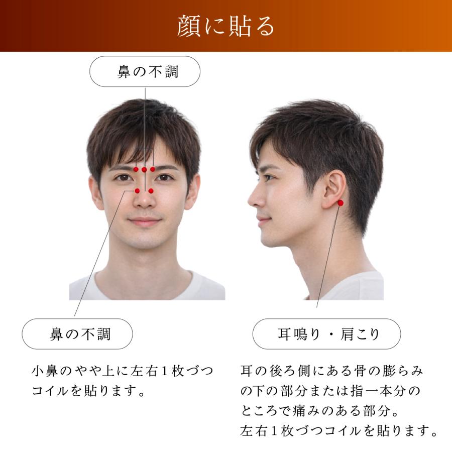 unica（ユニカ） 丸山式コイル ブラックアイ 100個入 貼替シール30枚入