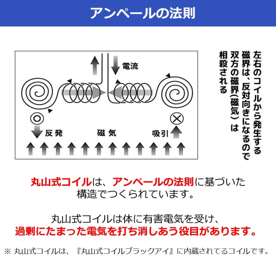 ブラックアイ ガイアネックレス 電磁波対策 電磁波 丸山式 電磁波防止