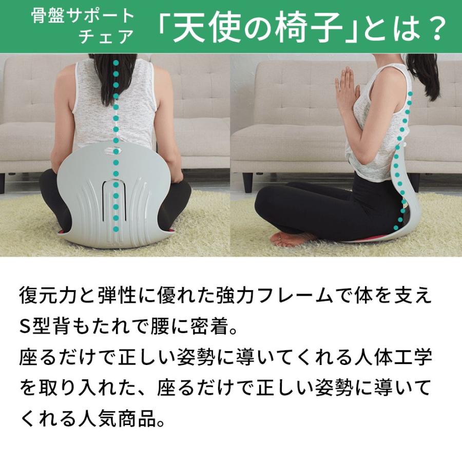 スタイル プレミアム MTB 骨盤サポートチェア 猫背 座椅子 ブラック Style ○ポイント10倍！○ 公式ストア スタイルプレミアム