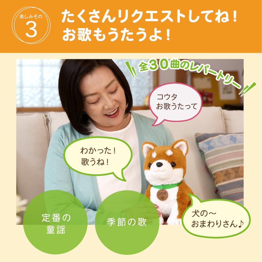 ぬいぐるみ こんにちワン！ しばいぬコウタ バンダナ付セット 柴犬
