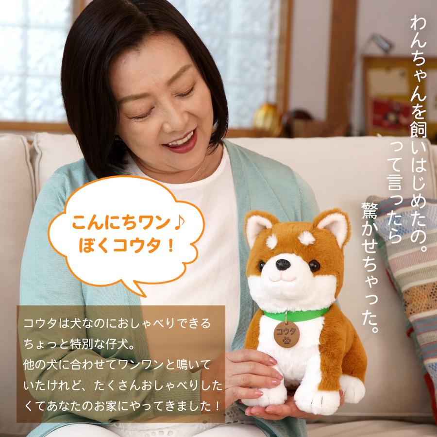 ぬいぐるみ こんにちワン！ しばいぬコウタ バンダナ付セット 柴犬