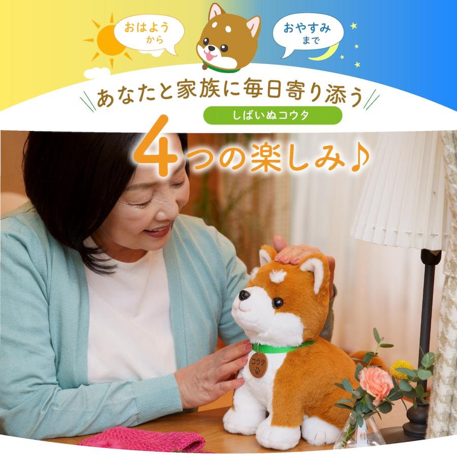 ぬいぐるみ こんにちワン！ しばいぬコウタ バンダナ付セット 柴犬