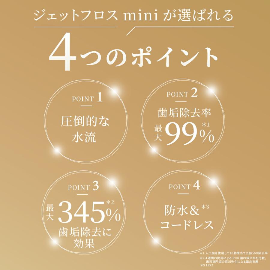 ヤーマン ジェットフロスミニ セット 1年保証 正規品 UV除菌ケース付 口腔洗浄器 mini 口腔ケア 口腔洗浄機 歯垢除去 口臭 マウスウォッシャー 矯正 ギフトの画像