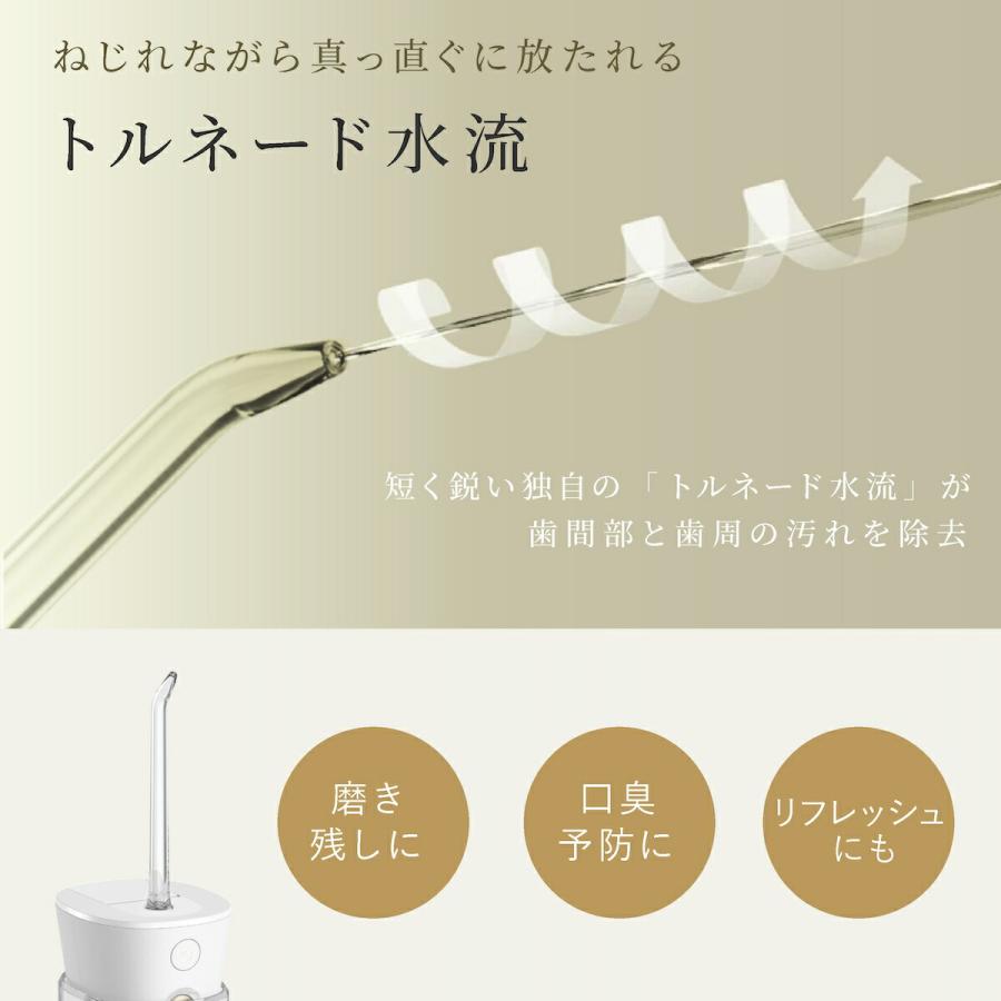 ヤーマン ジェットフロスミニ セット 1年保証 正規品 UV除菌ケース付