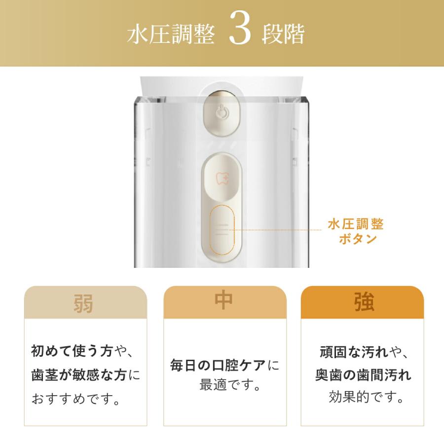 ヤーマン ジェットフロスミニ セット 1年保証 正規品 UV除菌ケース付