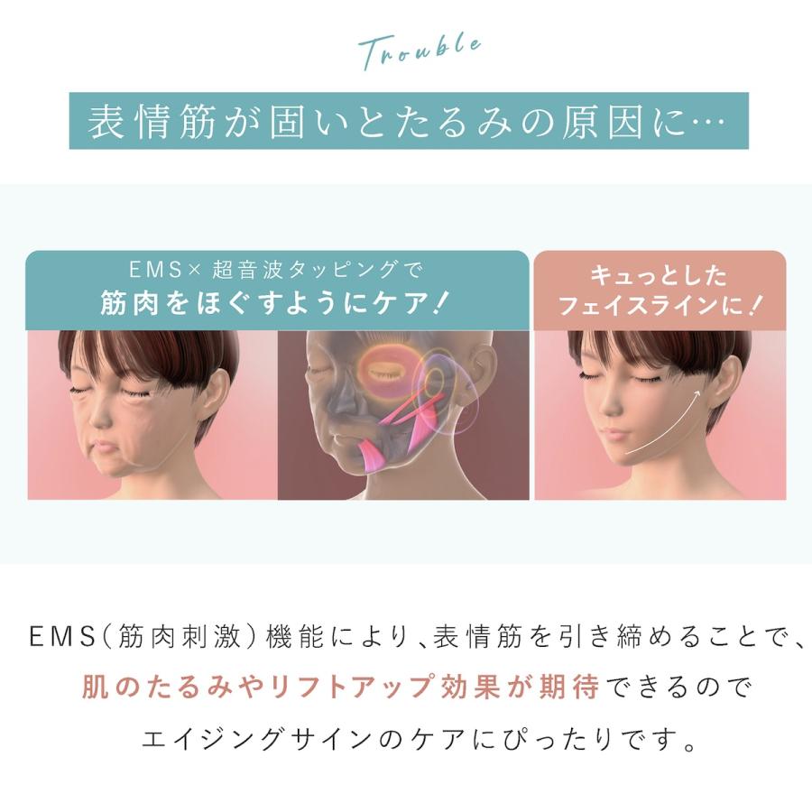 myse ミーゼ クレンズリフト プラス 正規品 MS71 フェイスケア EMS