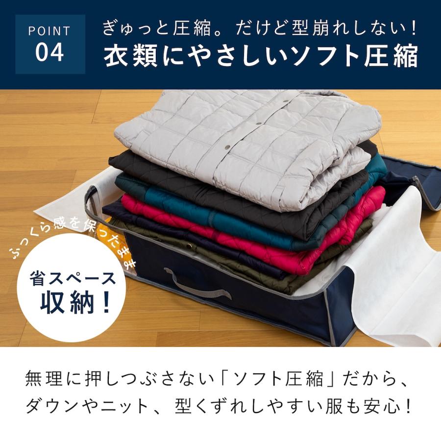 TEIJIN（テイジン） 収納ケース 布 乾っとデオケースlight 大2枚組