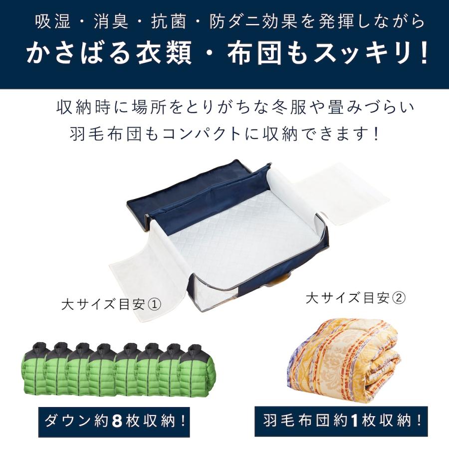 TEIJIN（テイジン） 収納ケース 布 乾っとデオケースlight 大2枚組