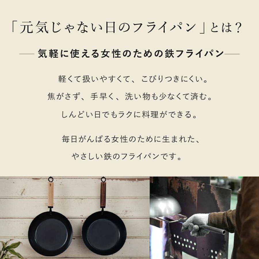 元気じゃない日のフライパン ih対応 ガス火対応 26cm 鉄フライパン
