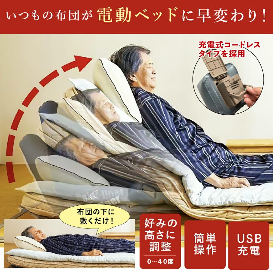 エアーリクライニングベット ラクライナーα 電動ベッド 介護ベッド