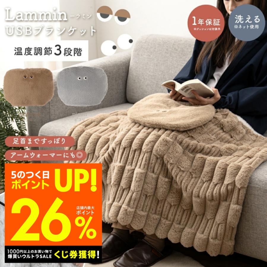 USBブランケット 電気毛布 電気ブランケット あったかグッズ 冷え性