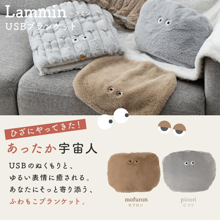 USBブランケット 電気毛布 電気ブランケット あったかグッズ 冷え性