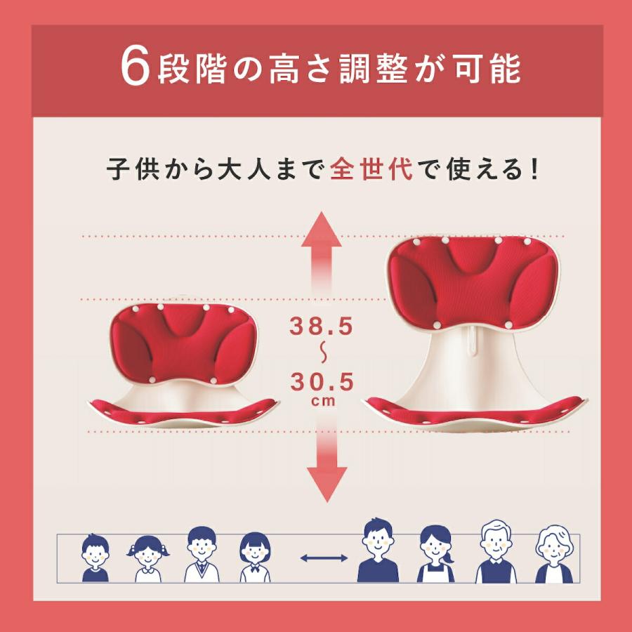 メイダイ 腰にピタッと美姿勢チェア 姿勢矯正 椅子 6段階高さ調整 骨盤