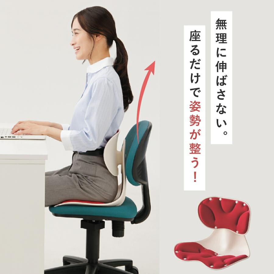 メイダイ 腰にピタッと美姿勢チェア 姿勢矯正 椅子 6段階高さ調整 骨盤