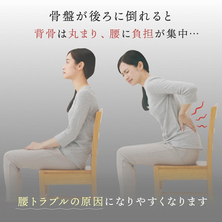 メイダイ 腰にピタッと美姿勢チェア 姿勢矯正 椅子 6段階高さ調整 骨盤