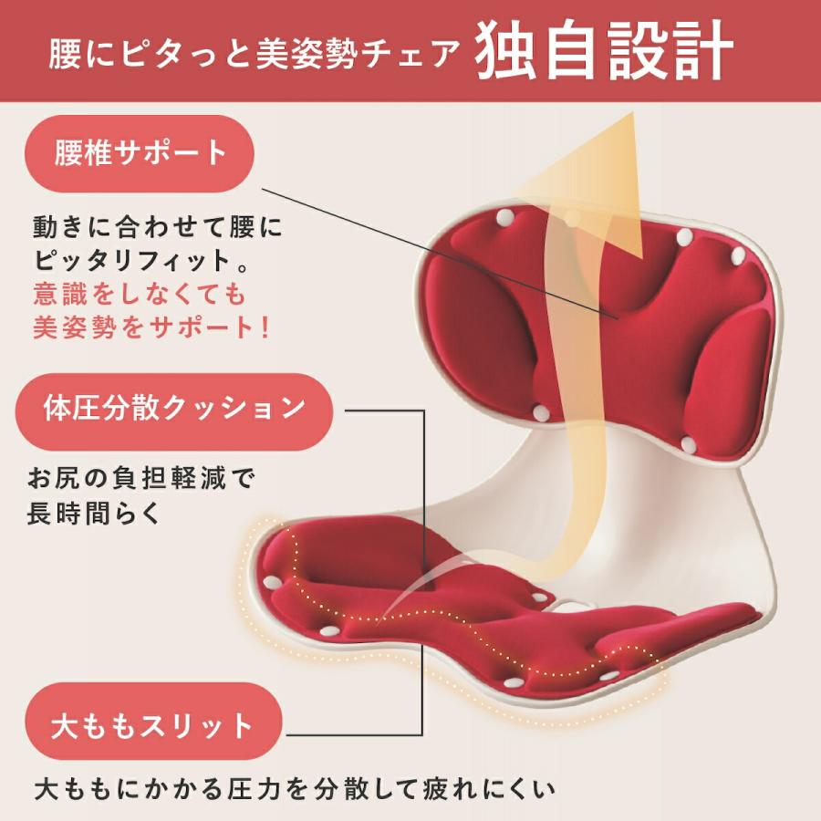 メイダイ 腰にピタッと美姿勢チェア 姿勢矯正 椅子 6段階高さ調整 骨盤