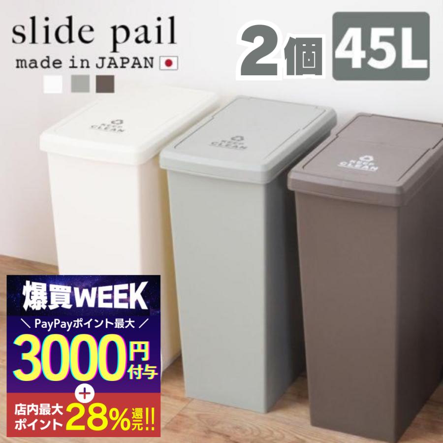 ゴミ箱 45リットル 2個 おしゃれ 分別 スリム ごみ箱 ダストボックス