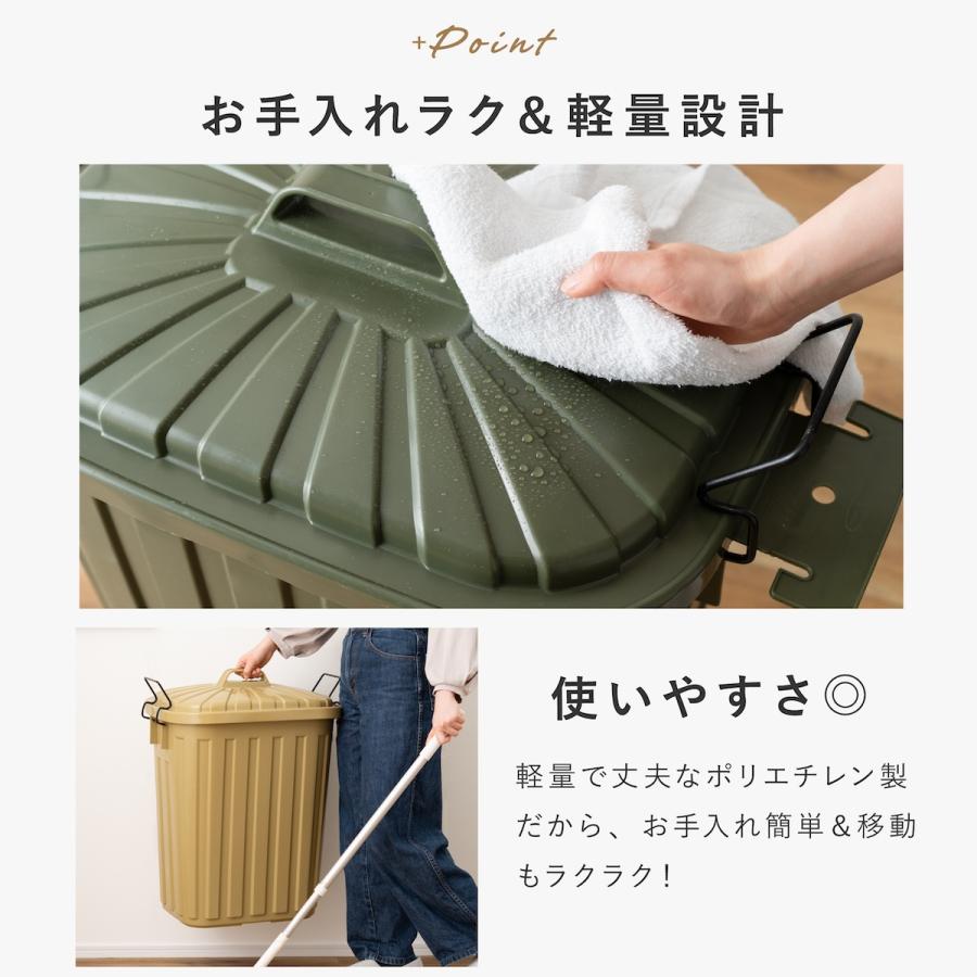 東谷 ゴミ箱 分別 屋外 60l 2個 ごみ箱 ダストボックス 蓋付きゴミ箱