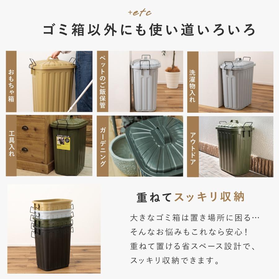 東谷 ゴミ箱 分別 屋外 60l ごみ箱 ダストボックス 蓋付きゴミ箱 分別