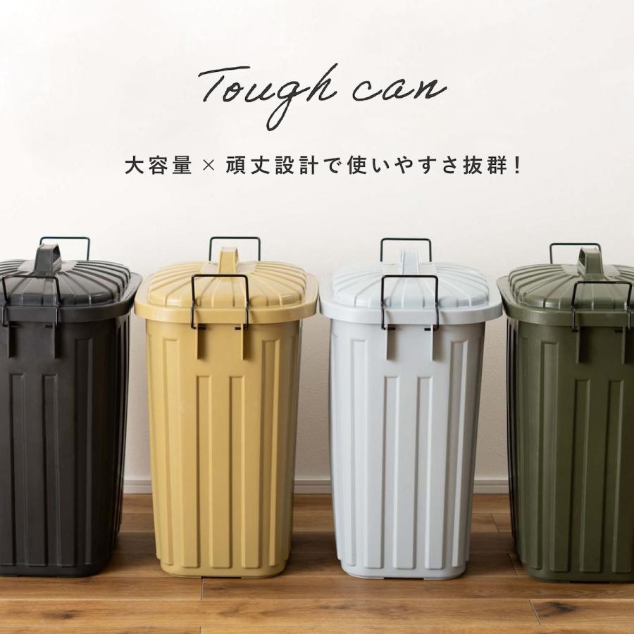 東谷 ゴミ箱 分別 屋外 60l ごみ箱 ダストボックス 蓋付きゴミ箱 分別